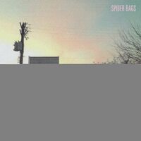 Spider Bags - Someday Everything Will Be Fine vinyl cover