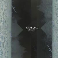 Spiral Joy Band - Elvehjem vinyl cover