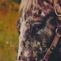 Spirit Of The Beehive - Pleasure Suck vinyl cover