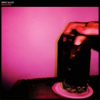 Spirit Valley - Negatives vinyl cover