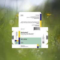 Spiritualized - Everything Was Beautiful vinyl cover