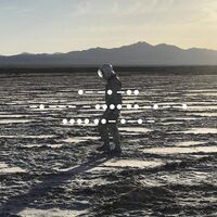 Spiritualized - Nothing Hurt vinyl cover