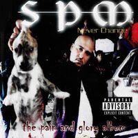 Spm (South Park Mexican) - Never Change vinyl cover