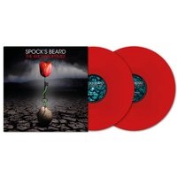 Spock's Beard - Archaeoptimist  vinyl cover