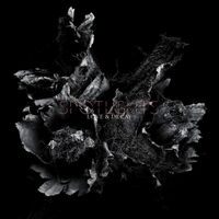 Spotlights - Love & Decay vinyl cover