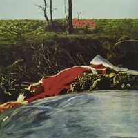 Spring - Spring vinyl cover