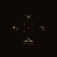 Spurv - Brefjære vinyl cover