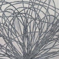 Stafraenn Hakon - Hausi vinyl cover