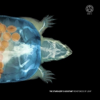 Stargazer's Assistant - Remoteness Of Light vinyl cover