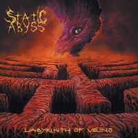 Static Abyss - Labyrinth Of Veins vinyl cover
