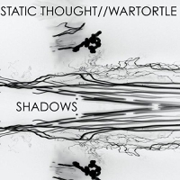 Static Thought/wartortle - Static Thought/wartortle | Shadows | 7 vinyl cover
