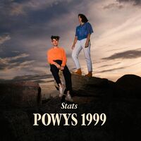 Stats - Powys 1999 vinyl cover