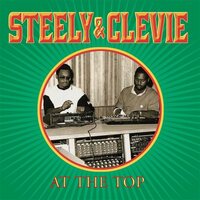 Steely & Cleevie - At The Top vinyl cover