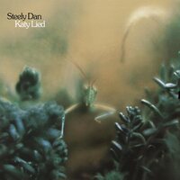 Steely Dan - Katy Lied vinyl cover