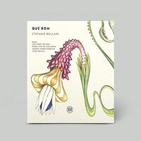 Stefano Bollani - Que Bom vinyl cover