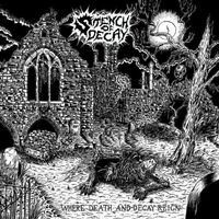 Stench Of Decay - Where Death & Decay Reign vinyl cover