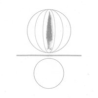 Stephen O'Malley - Spheres Collapser vinyl cover