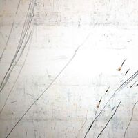 Stephen Vitiello & Taylor Deupree - Fridman Variations vinyl cover