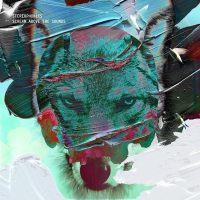 Stereophonics - Scream Above The Sounds vinyl cover