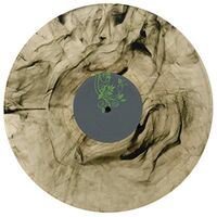 Steve Bug - Different In Detroit vinyl cover