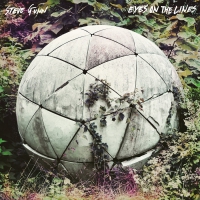 Steve Gunn - Eyes On The Lines vinyl cover