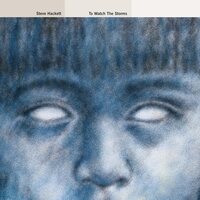 Steve Hackett - To Watch The Storms 2023 vinyl cover