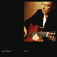 Steve Hackett - Tribute 2024 vinyl cover