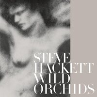 Steve Hackett - Wild Orchids 2023 vinyl cover
