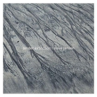 Steve Jansen - Tender Extinction vinyl cover