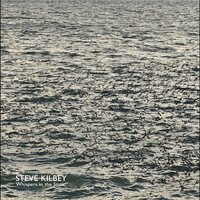 Steve Kilbey - Whispers In The Static (Gray) vinyl cover