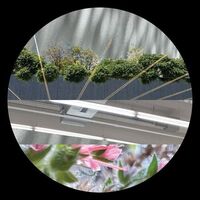 Steve Mill - Love Attack Ep vinyl cover