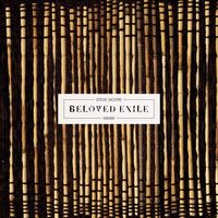 Steve Moore - Beloved Exile vinyl cover