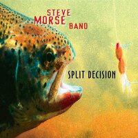 Steve Morse - Split Decision vinyl cover