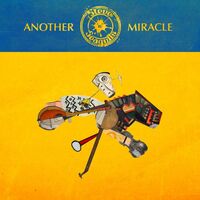 Steve N Seagulls - Another Miracle vinyl cover
