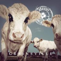 Steve 'n' Seagulls - Grainsville vinyl cover
