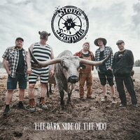 Steve 'N' Seagulls - The Dark Side Of The Moo vinyl cover