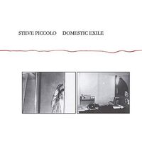 Steve Piccolo - Domestic Exile vinyl cover