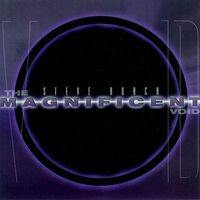 Steve Roach - The Magnificent Void vinyl cover