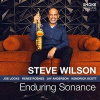 Steve Wilson - Enduring Sonance vinyl cover