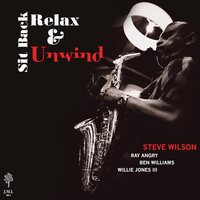 Steve Wilson - Sit Back Relax & Unwind vinyl cover