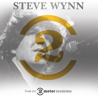 Steve Wynn - Live On 2 Meter Sessions vinyl cover