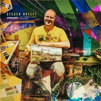 Steven Brezet - Diferenciado vinyl cover