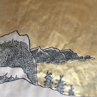 Steven R. Smith - Olive vinyl cover