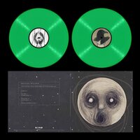 Steven Wilson - Raven That Refused To Sing (10Th Anniversary Edition; Luminous Glow In The Dark) vinyl cover
