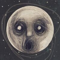 Steven Wilson - The Raven That Refused To Sing vinyl cover