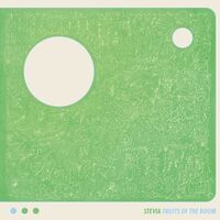 Stevia Aka Susumu Yokota - Fruits Of Room vinyl cover