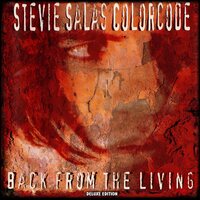 Stevie Salas - Back From The Living vinyl cover