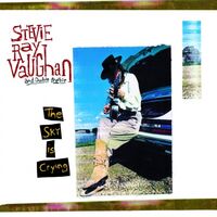Stevie Vaughan Ray  &  Double Trouble - Sky Is Crying vinyl cover