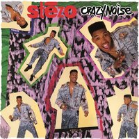 Stezo - Crazy Noise vinyl cover