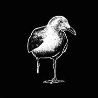 Stiff Richards - Stiff Richards vinyl cover